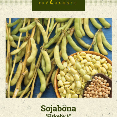 Sojaböna 'Fiskeby V'