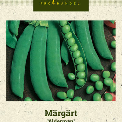 Märgärt 'Alderman'