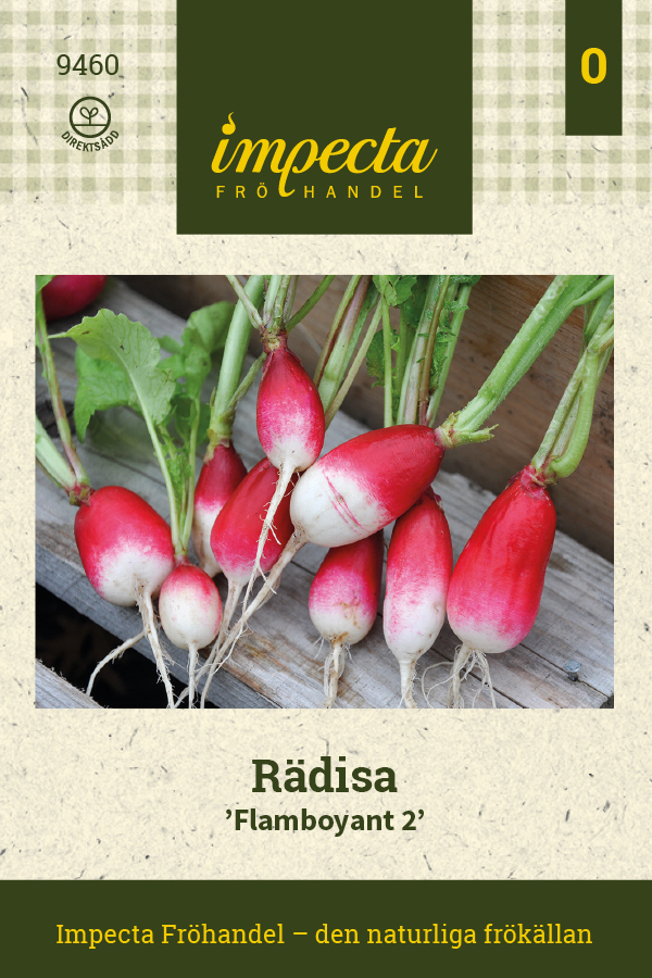 Rädisa 'Flamboyant 2'