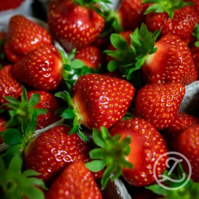 Jordgubbsplantor 'Mara de Bois' 6-pack