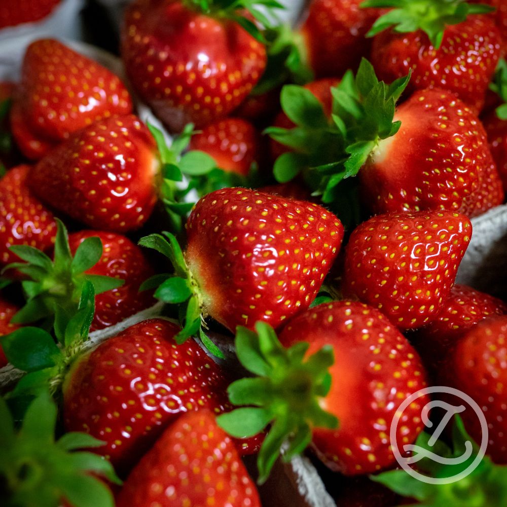 Jordgubbsplantor 'Mara de Bois' 6-pack