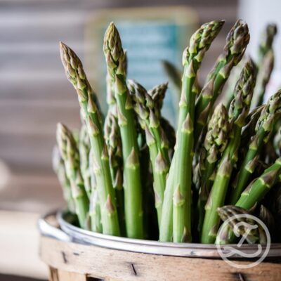 Sparrisplantor 'Aspalim' 5-pack