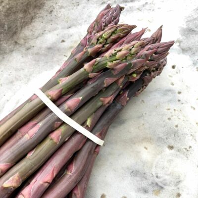 Sparrisplantor 'Erasmus' 5-pack