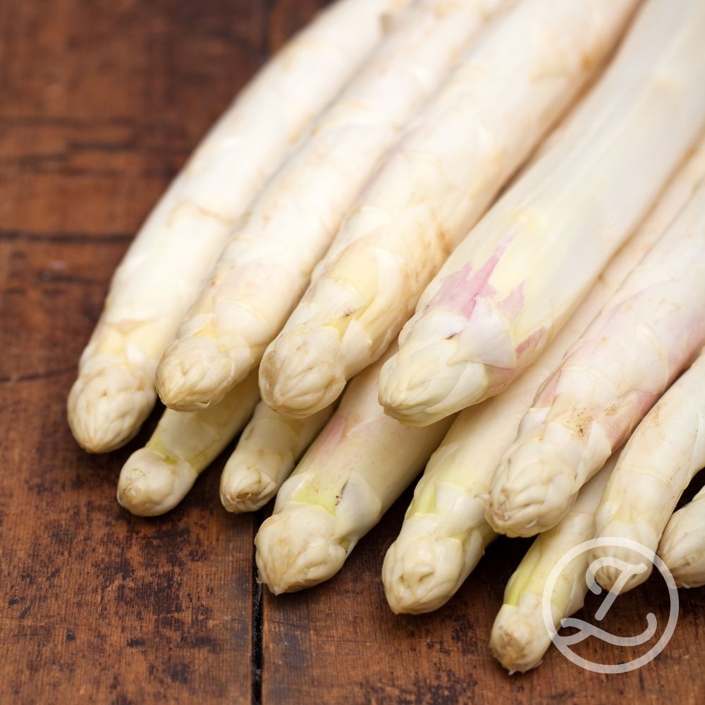 Sparris_Vit_Herkolim_C