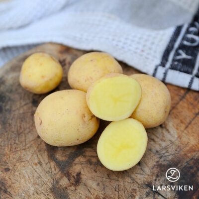 Sättpotatis 'Paris'