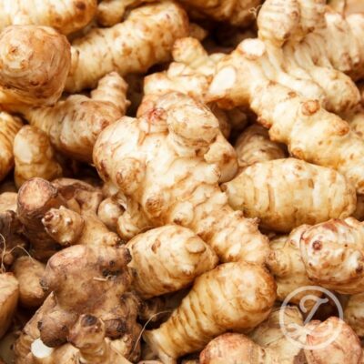 Jordärtskocka 'Elverum' 5-pack