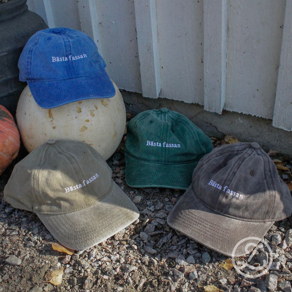 Keps 'Bästa fassan' - khaki/klarblå/kaffe/grön