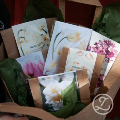 Ge bort en blomstrande vår! (5 påsar blomsterlök, påse, silkespapper och kort)