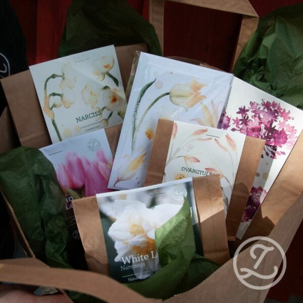 Ge bort en blomstrande vår! (5 påsar blomsterlök, påse, silkespapper och kort)