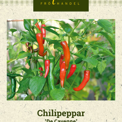 Chilipeppar 'De Cayenne'