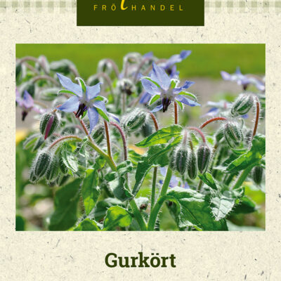 Gurkört