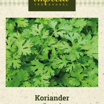 Koriander 'Lemon'