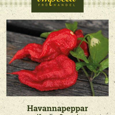 Havannapeppar 'Carolina Reaper'