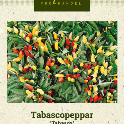 Tabascopeppar 'Tabasco'