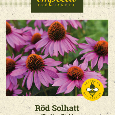 Röd Solhatt 'Feeling Pink'