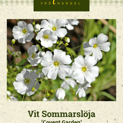 Vit Sommarslöja 'Covent Garden'