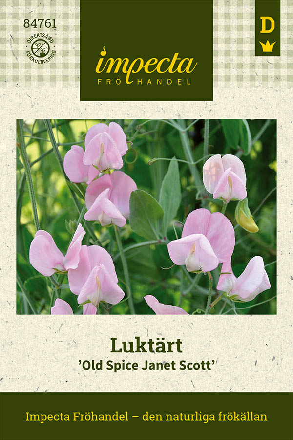 Luktärt 'Old Spice Janet Scott'