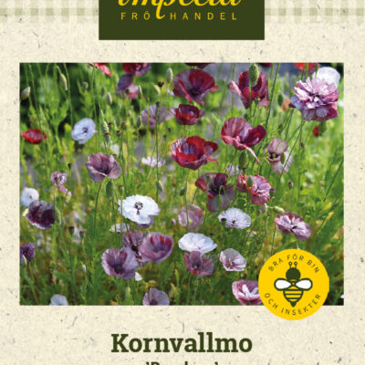 Kornvallmo 'Pandora'