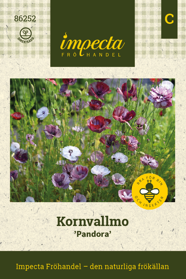 Kornvallmo 'Pandora'