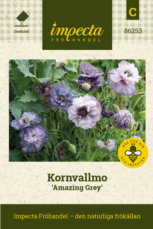 Kornvallmo 'Amazing Grey'