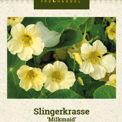 Slingerkrasse 'Milkmaid'