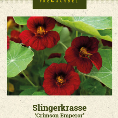 Slingerkrasse 'Crimson Emperor'
