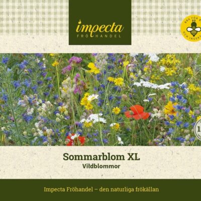 Sommarblom XL Vildblommor