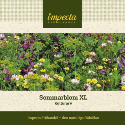 Sommarblom XL Kulturarv