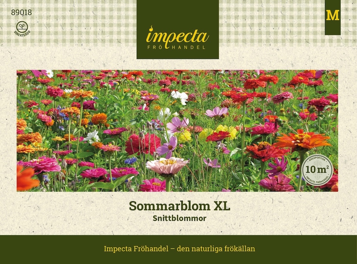 Sommarblom XL Snittblommor