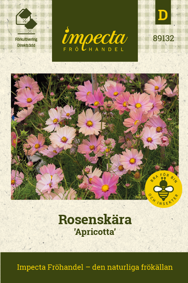 Rosenskära 'Apricotta'
