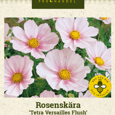 Rosenskära 'Tetra Versailles Flush'