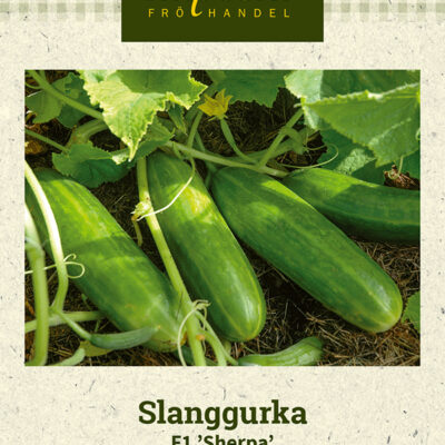 Slanggurka F1 'Sherpa'