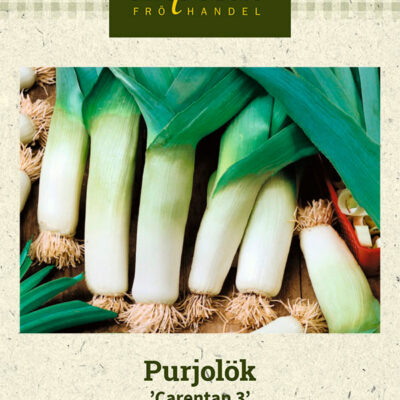 Purjolök 'Carentan 3'