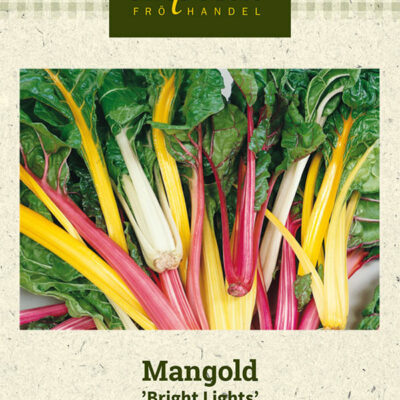 Mangold 'Bright Lights'