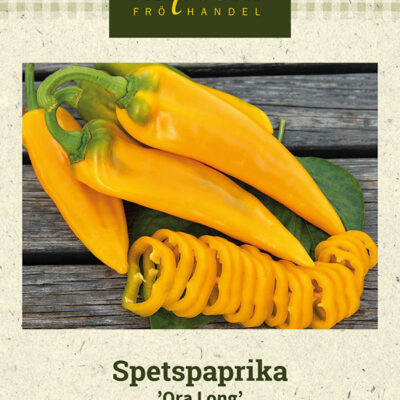 Spetspaprika 'Ora Long'