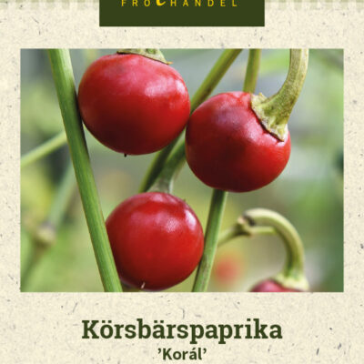 Körsbärspaprika 'Korál'