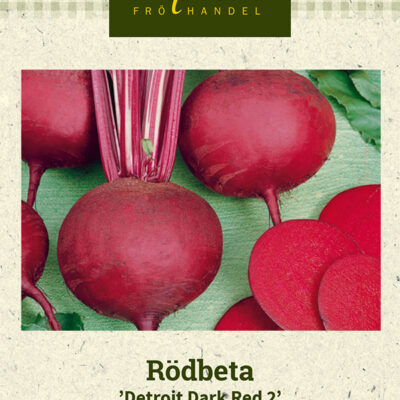Rödbeta 'Detroit Dark Red 2'