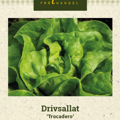 Drivsallat 'Trocadero'