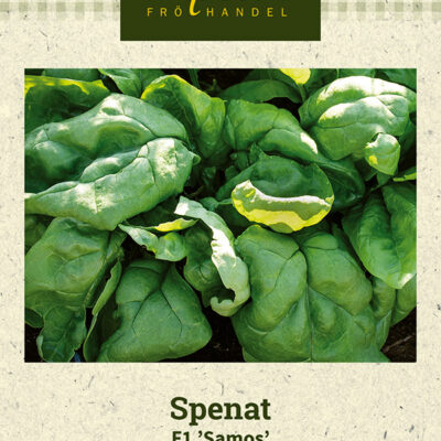 Spenat F1 'Samos'