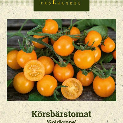 Körsbärstomat 'Goldkrone'