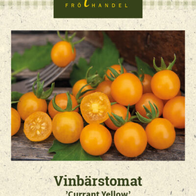 Vinbärstomat 'Currant Yellow'