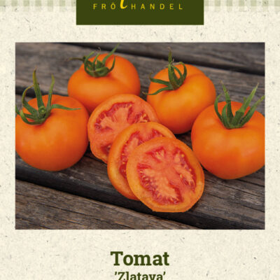 Tomat 'Zlatava'