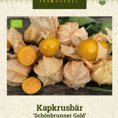 Kapkrusbär 'Schönbrunner Gold'