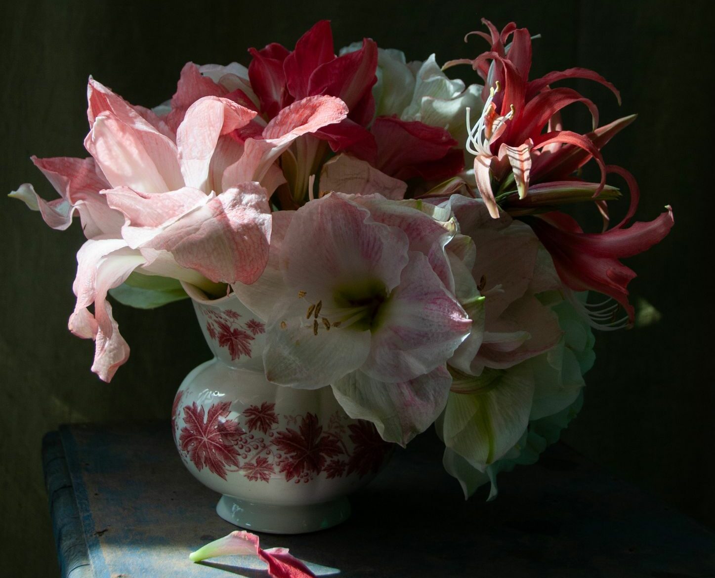 Amaryllisens historia