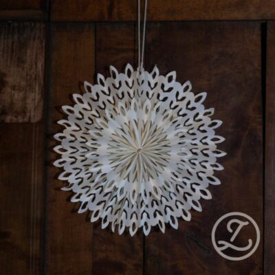 Pappersstjärna Kosmisk - vit