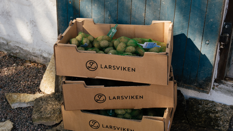 Sättpotatis, potatis, odla för beredskap