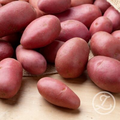 Sättpotatis 'Roseval'